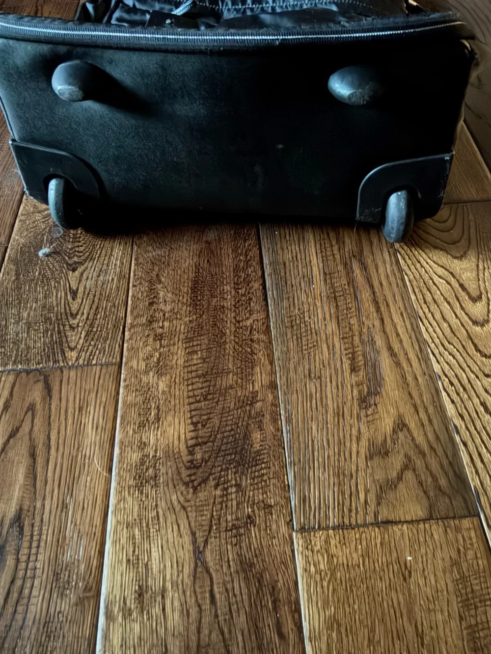 Tumi Black Travel Backpack with Gold Zipper Accents